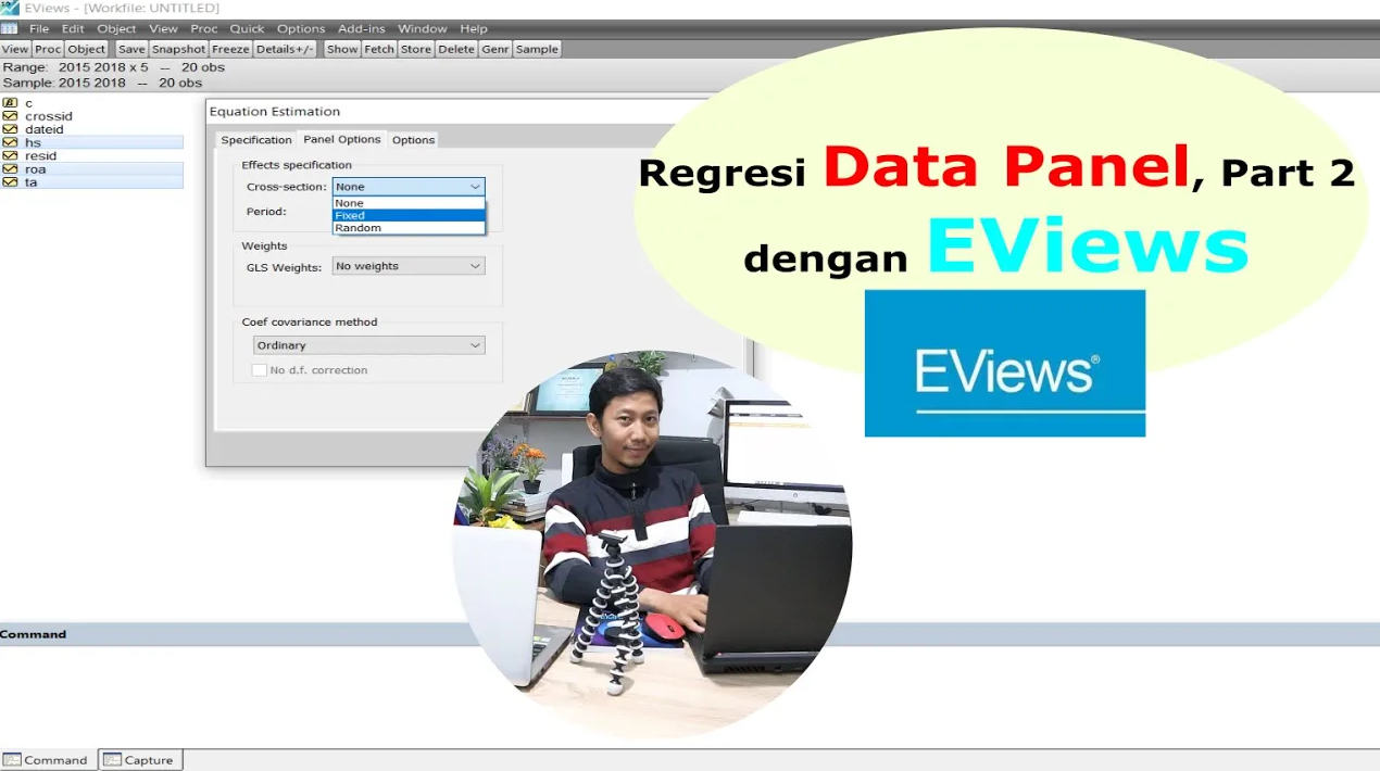 Panel Data Regression dengan EViews — Materi 3